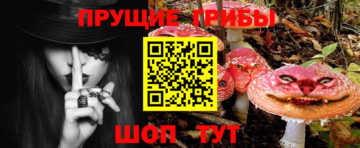 Псилоцибиновые грибы прущие грибы  Псилоцибиновые грибы прущие грибы  Вход с VPN  Котовск 